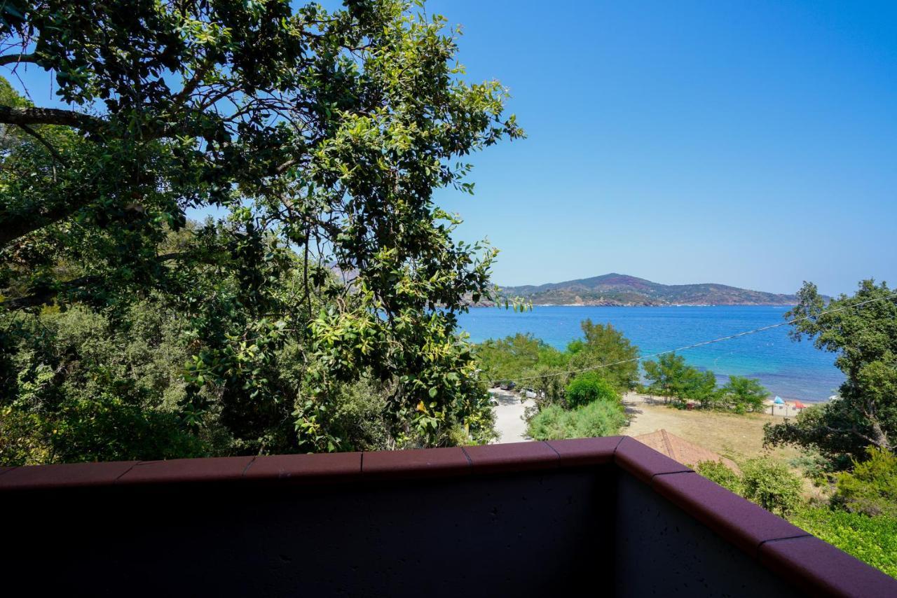 Residence Le Acacie Capoliveri  Εξωτερικό φωτογραφία